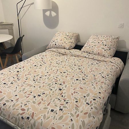 Bel Appartement T1 30M2 Centre Historique 欧巴涅 外观 照片